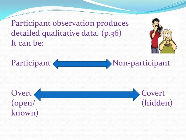 define participant observation